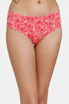 Zivame Anti-Microbial Low Rise Full Coverage Hipster Panty (Pack of 3) - Multicolor — thumbnail 9